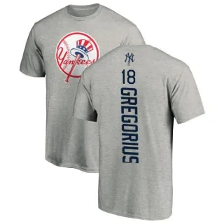 Didi Gregorius New York Yankees Backer T-Shirt - Ash